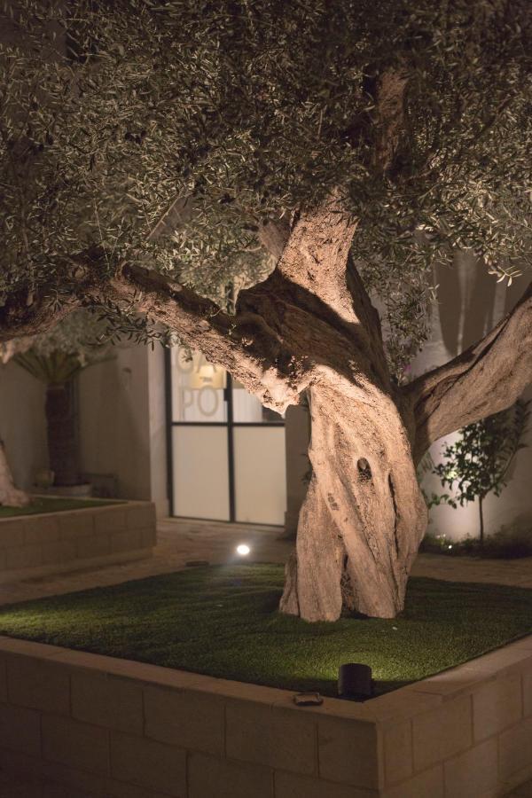 Orta Nova Gapo Rooms المظهر الخارجي الصورة