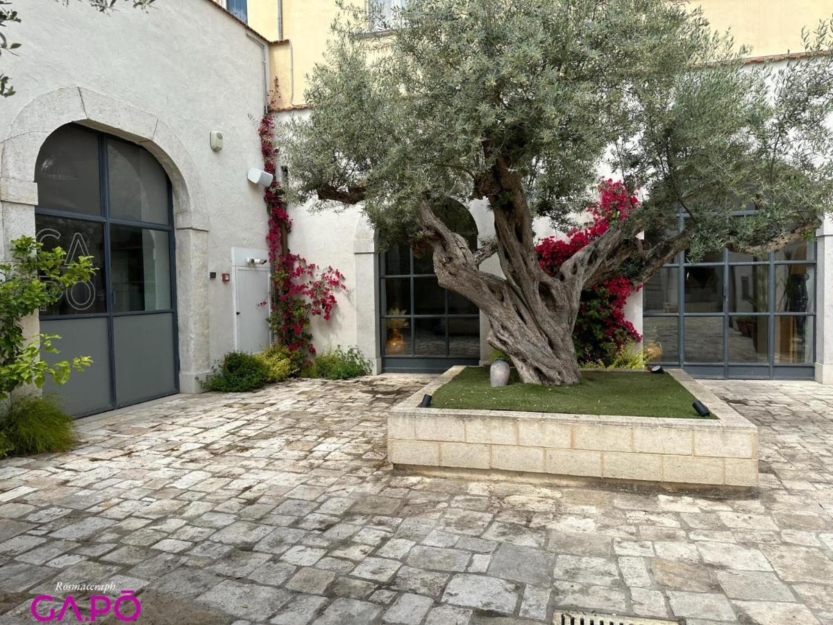 Orta Nova Gapo Rooms المظهر الخارجي الصورة