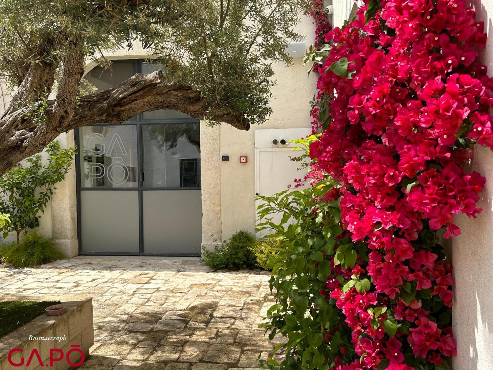 Orta Nova Gapo Rooms المظهر الخارجي الصورة